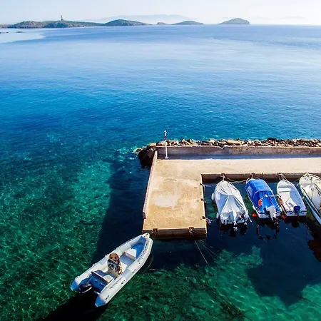 Anemelia Studios *