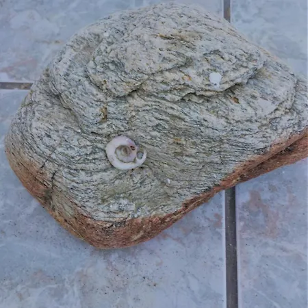 Anemelia Lägenhet