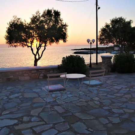 Anemelia Studios
